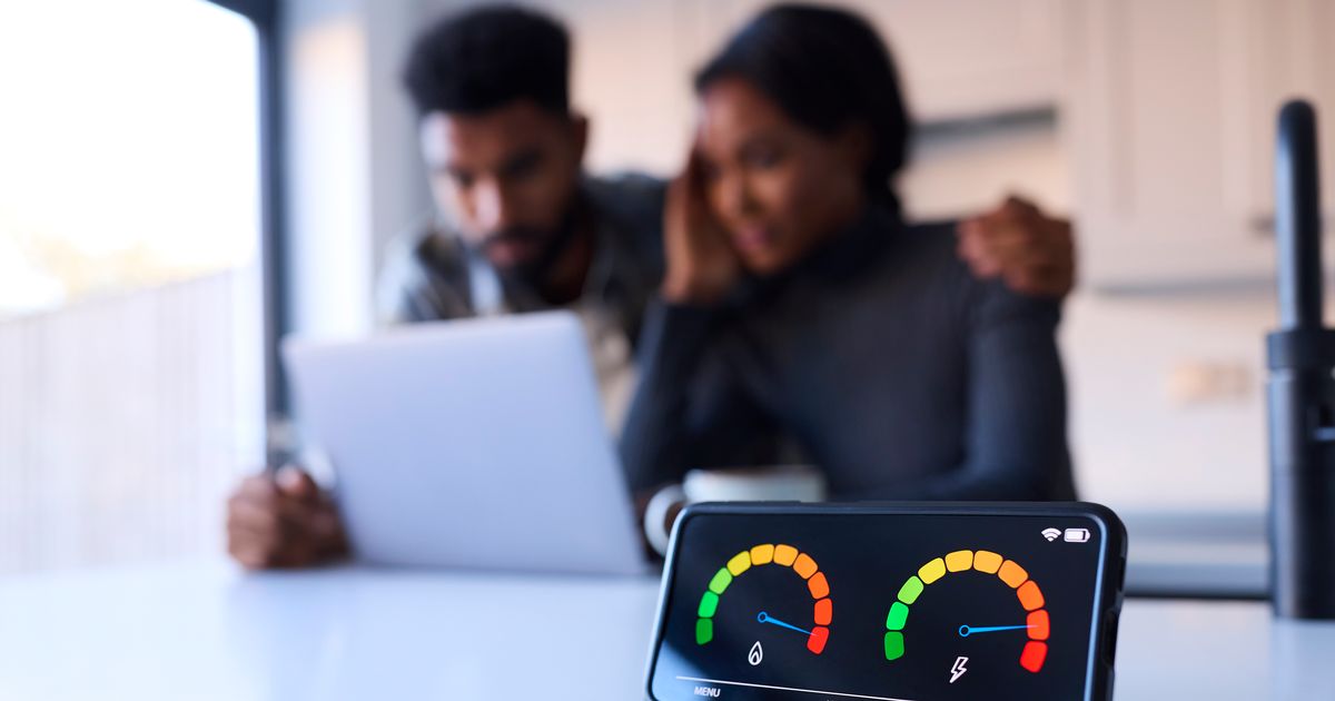 EDF Energy users can earn 'free electricity' from January 2026 - exact dates unveiled - The Mirror