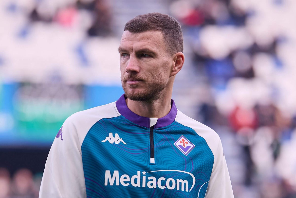 Edin Dzeko set to join Schalke from Fiorentina