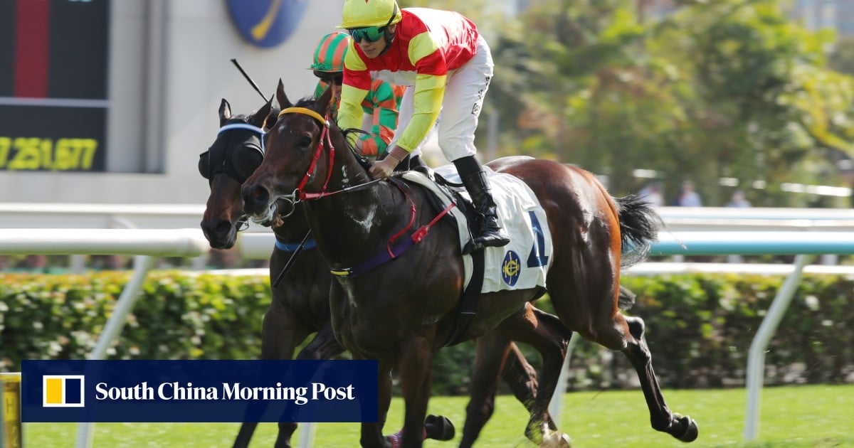 Who wins at Sha Tin? In-form Emblazon can make the leap to Class Three