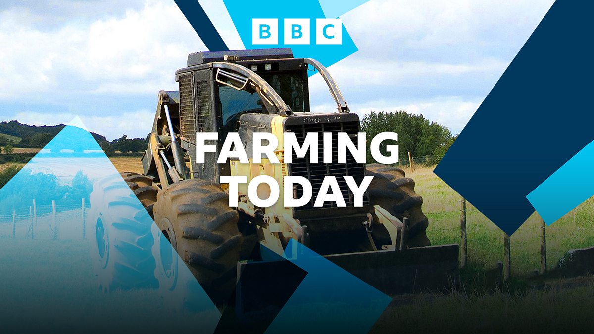 BBC Radio 4 - Farming Today, Environmental Regulation, Cheese, Storm Goretti