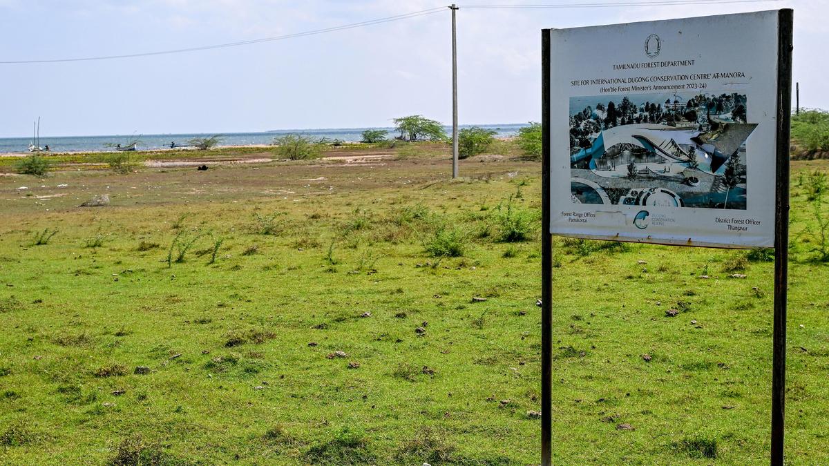 Expert Appraisal Committee insists on eco-friendly redesign for dugong conservation centre at Manora in Thanjavur district