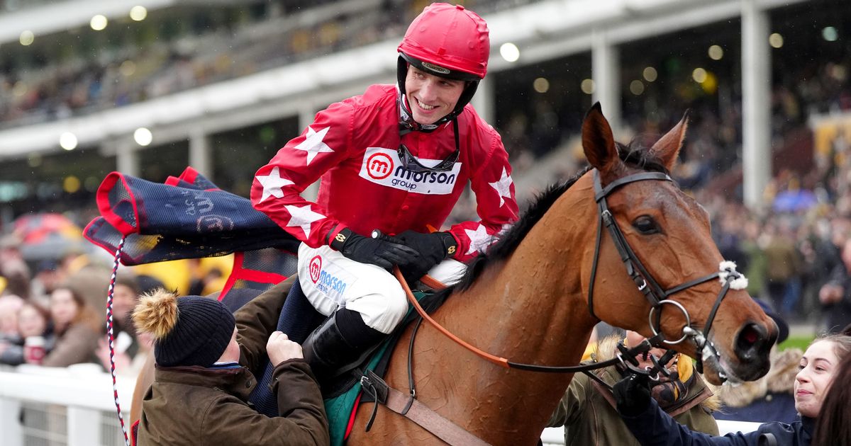 Sir Alex Ferguson's horse dies as Kalif Du Berlais in tragic fall at Kempton