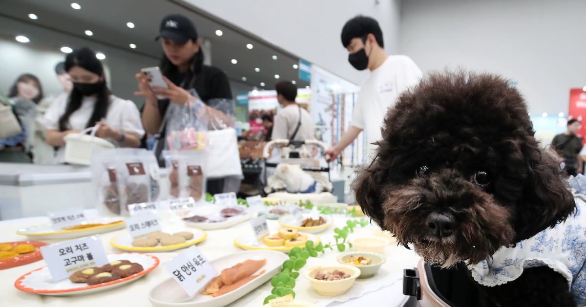 Food Conglomerates Target Pet Humanization Trend for Growth