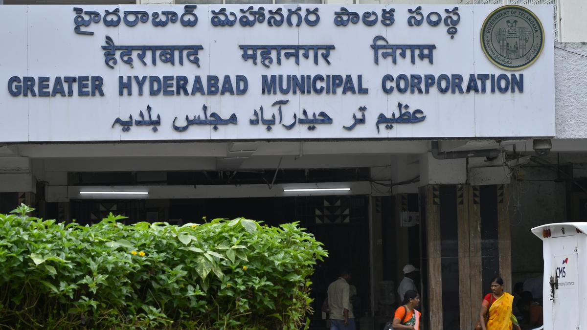 A municipal corporation, a trifurcation