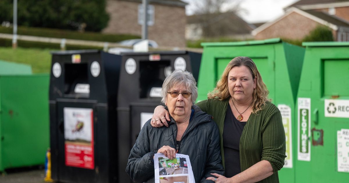 Council slaps gran with huge fine as she's accused of 'fly-tipping' a single box - The Mirror