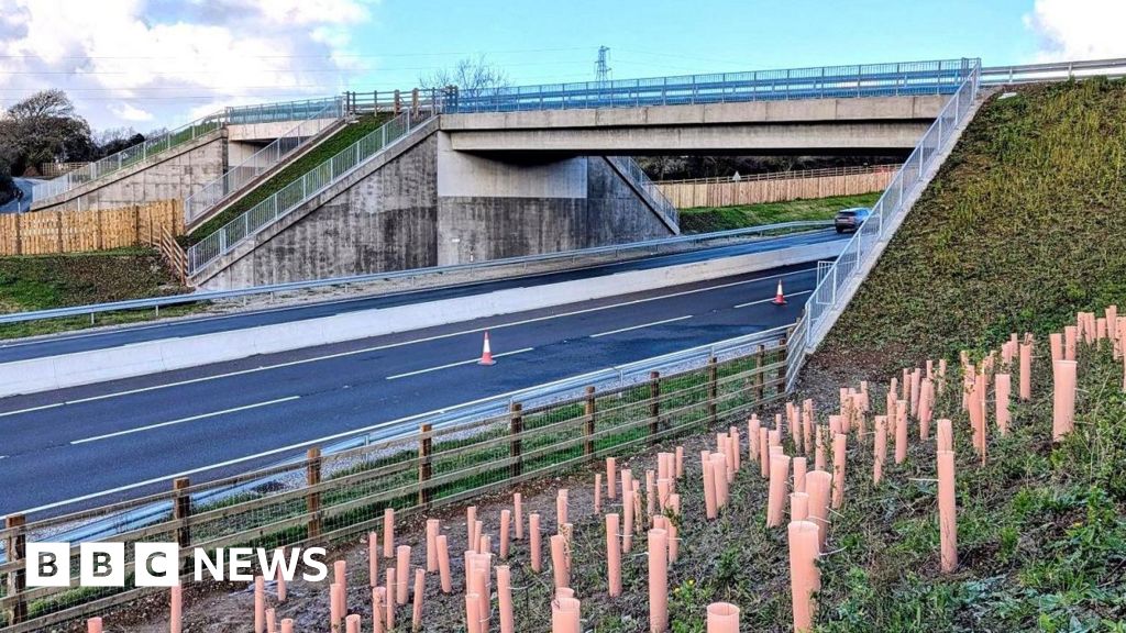 'Green bridge' completed for wildlife and walkers