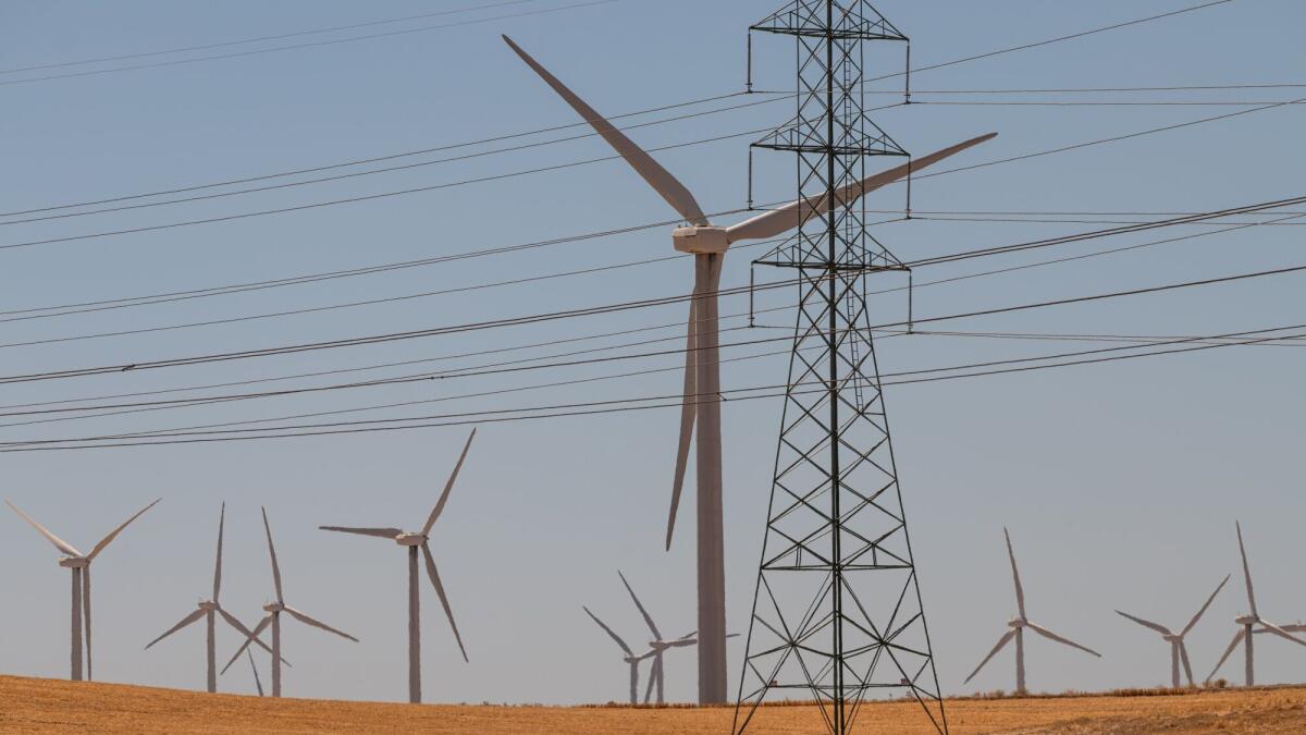 Green energy stocks surge despite Trump's policies