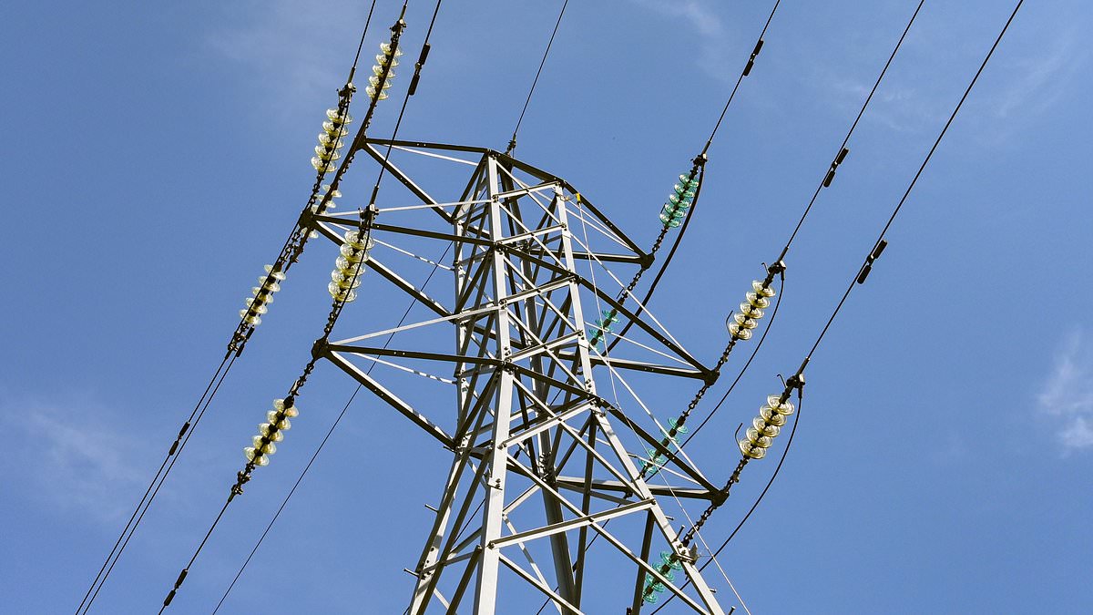 HAMISH MCRAE: Expensive electricity not helping growth