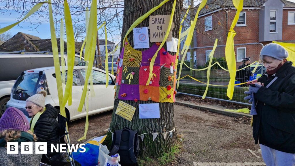 High Court grants injunction over Wivenhoe oak tree felling