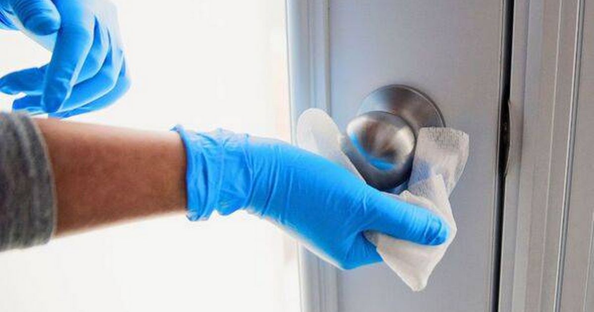 Hotel cleaner has a 10-minute routine that keeps your home germ-free this winter - The Mirror