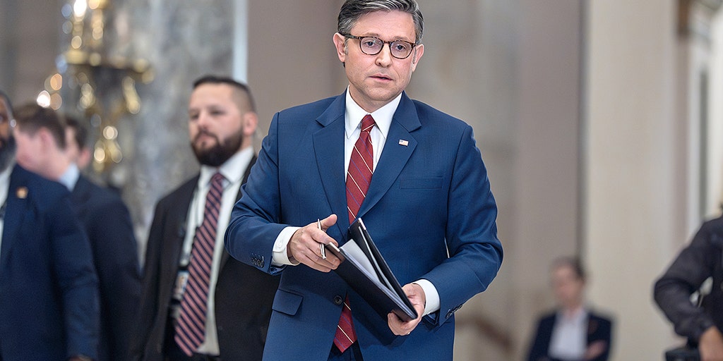 House GOP majority on the brink as all-Democrat Texas special congressional election underway