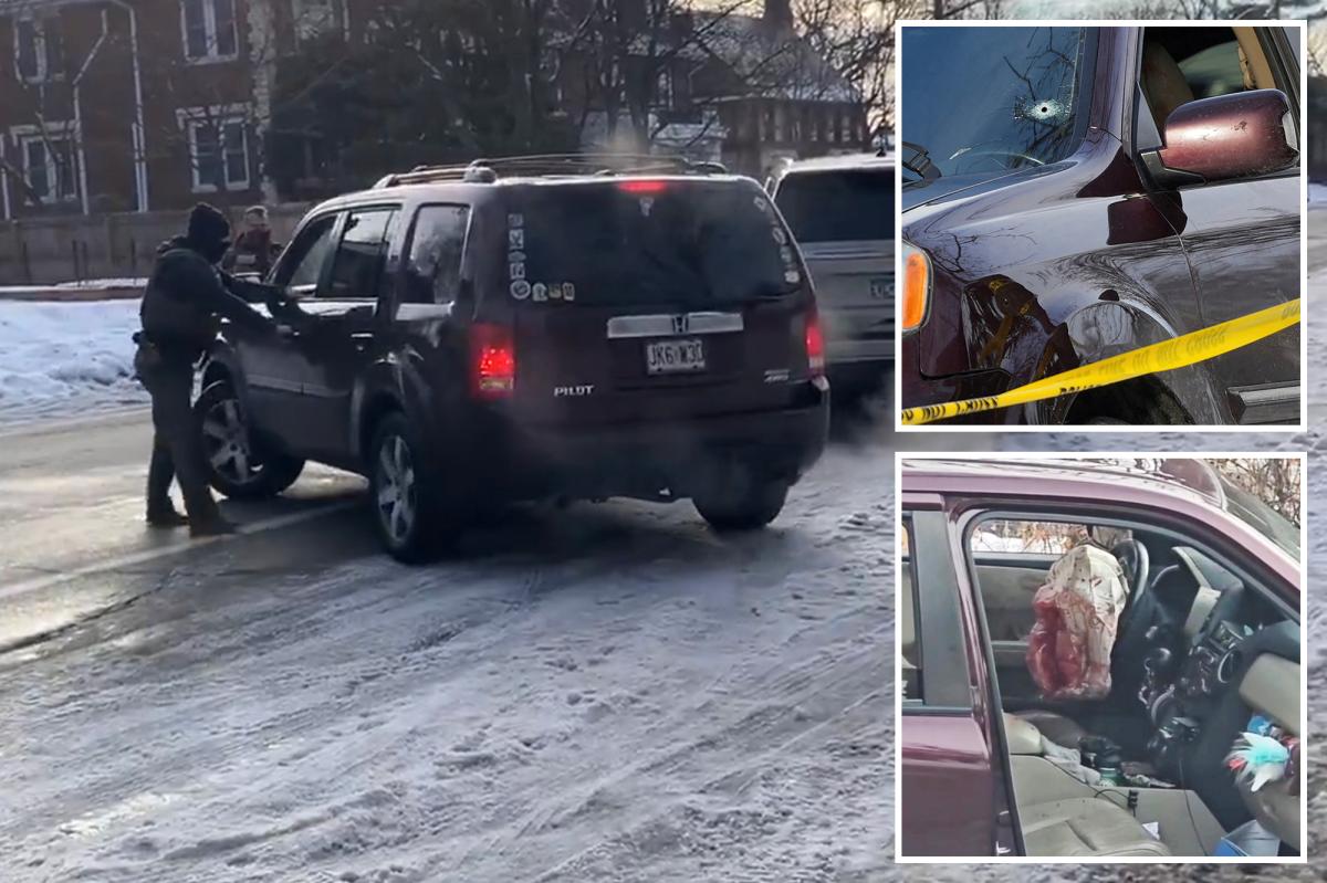Dramatic footage shows ICE agent open fire on woman who tried to...