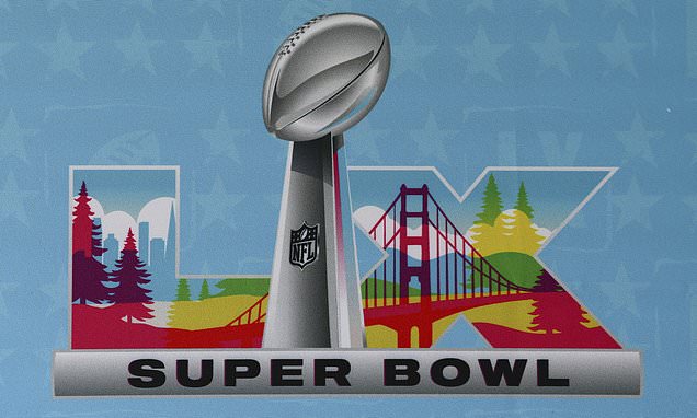 ICE sends message to Super Bowl fans amid fears for their safety