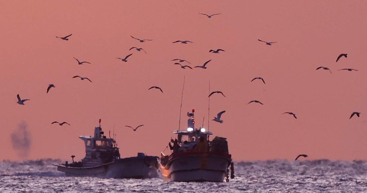 Incheon Lifts 44-Year Nighttime Fishing Ban