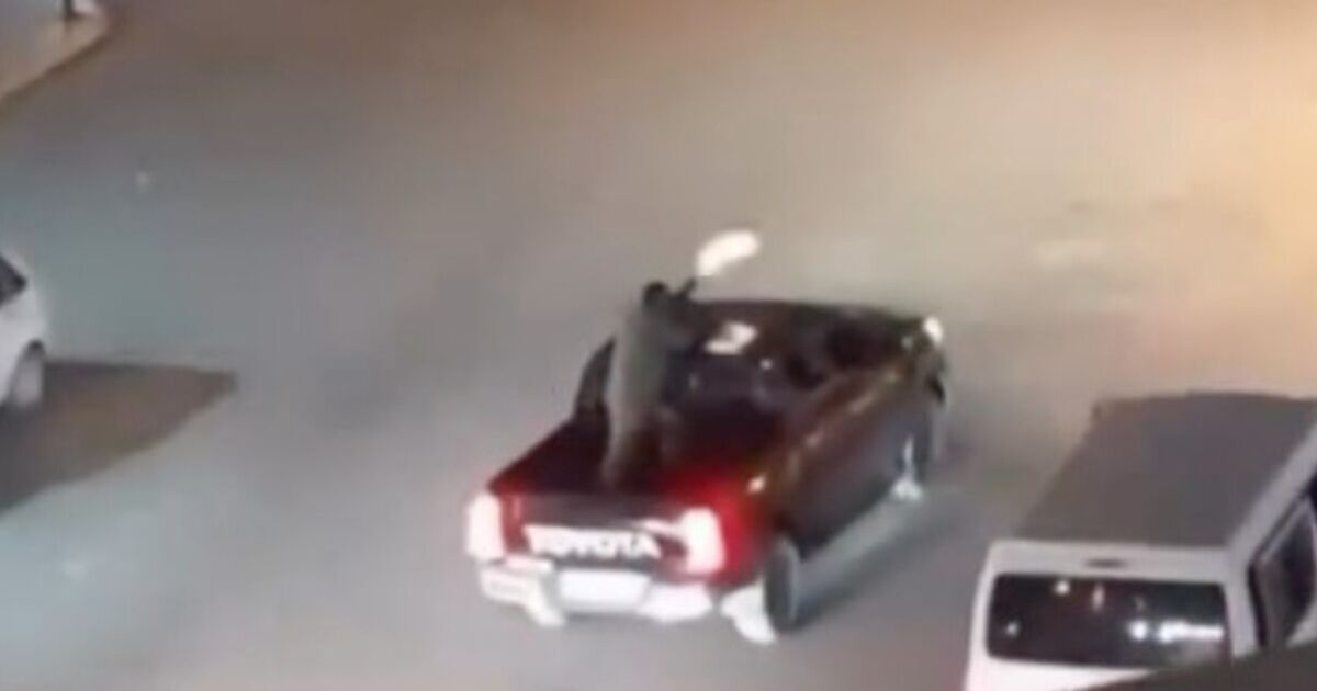 Sickening new footage emerges from Iran showing regime machine-gunning protests