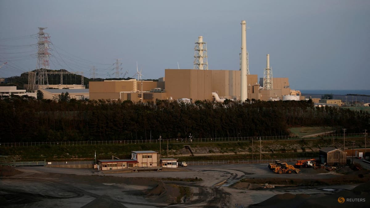 Japan nuclear plant operator may have underestimated quake risks