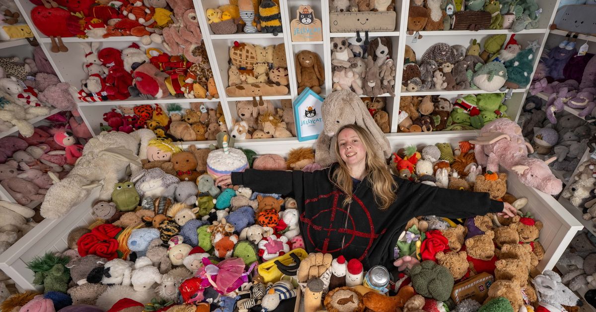 Jellycat fanatic vows to keep growing astonishing World Record breaking collection - The Mirror