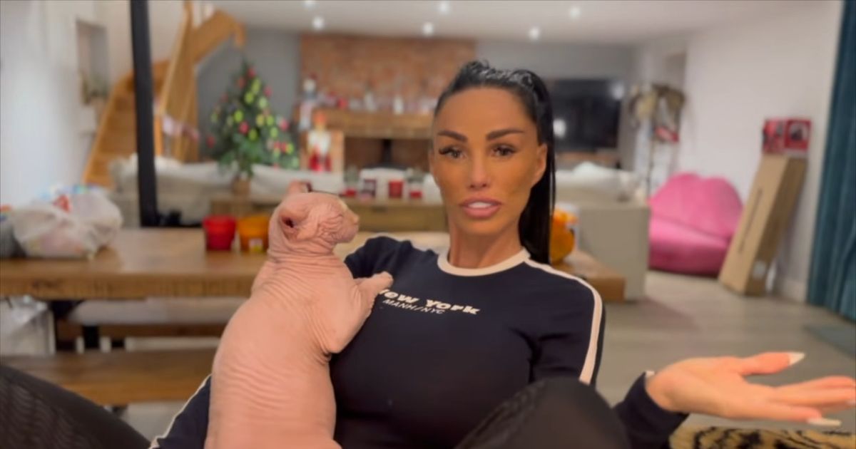Katie Price's cryptic comments as she breaks silence after split from JJ Slater - The Mirror