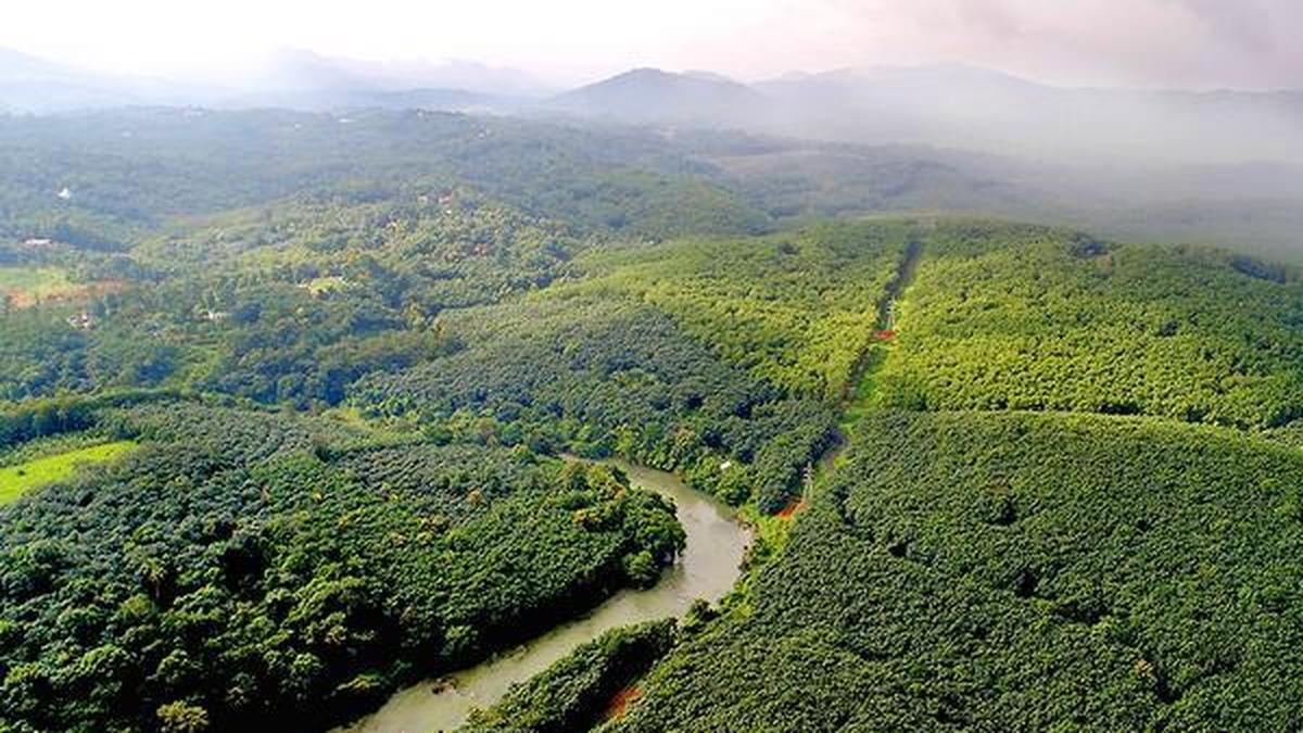 Kerala govt loses legal battle over ownership of Cheruvally estate proposed for Sabarimala airport