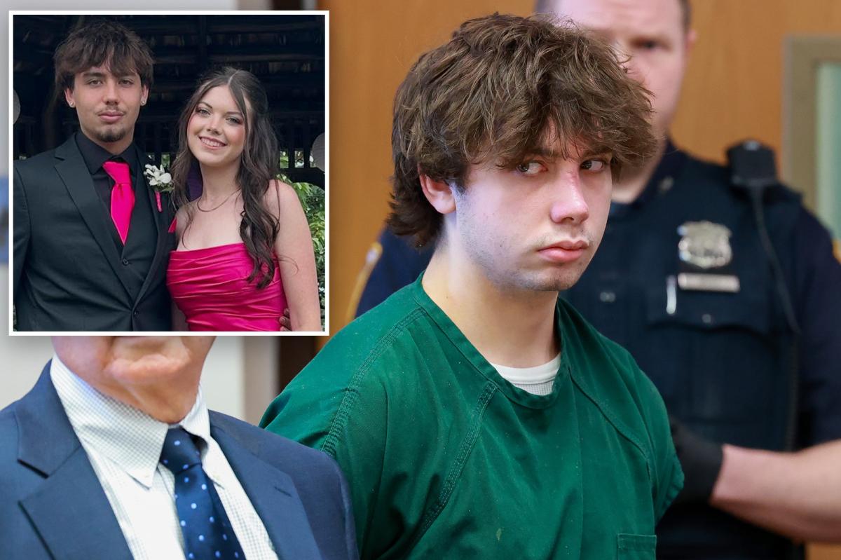 LI's 'puppy-love killer' too loony for trial for at least a year:...