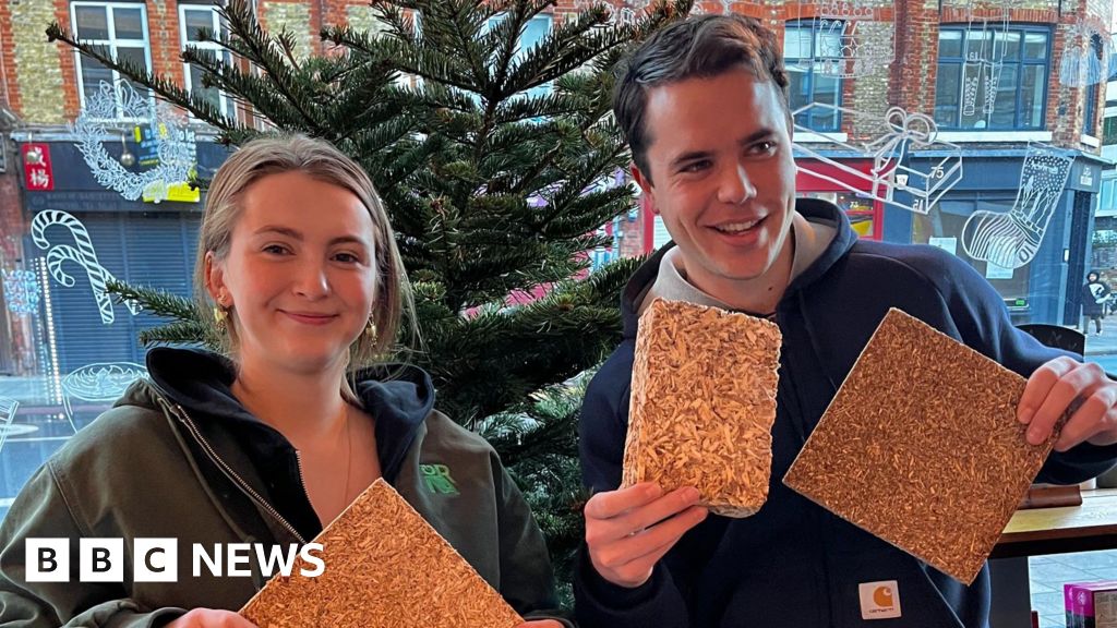 London's Christmas trees get new lease of life