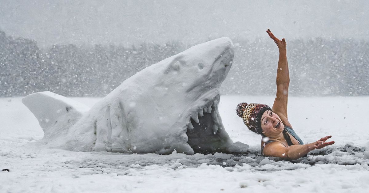 Major 13-inch snowfall sparks frozen police cars and 'snow sharks' - in photos