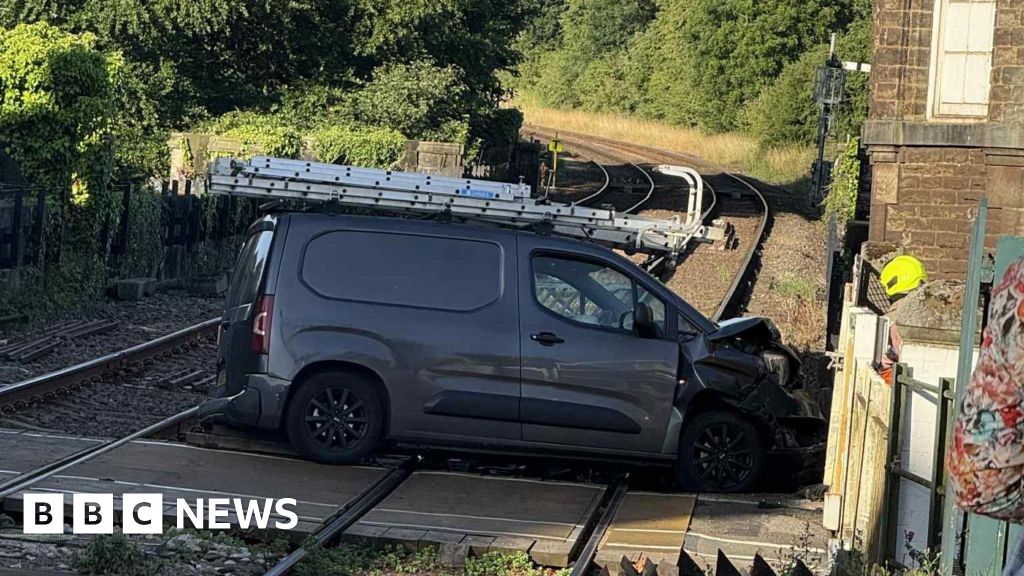 Man who blamed van crash on dog admits careless driving
