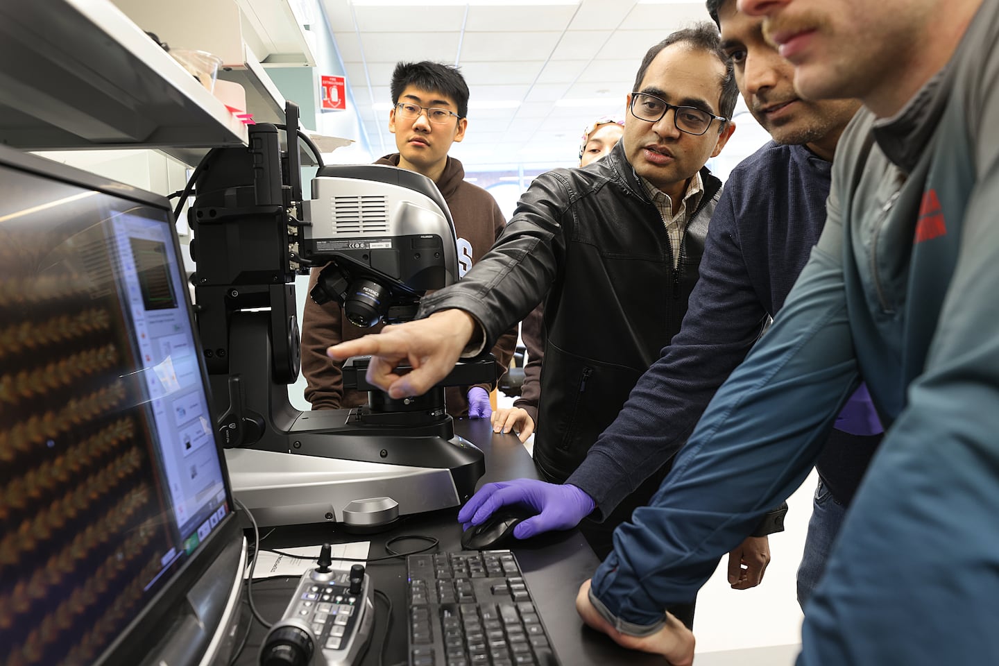 Massachusetts scientists praise court ruling blocking research funding cuts, but questions remain - The Boston Globe