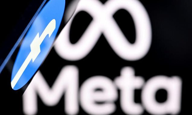 Meta urges Australia to change teen social media ban