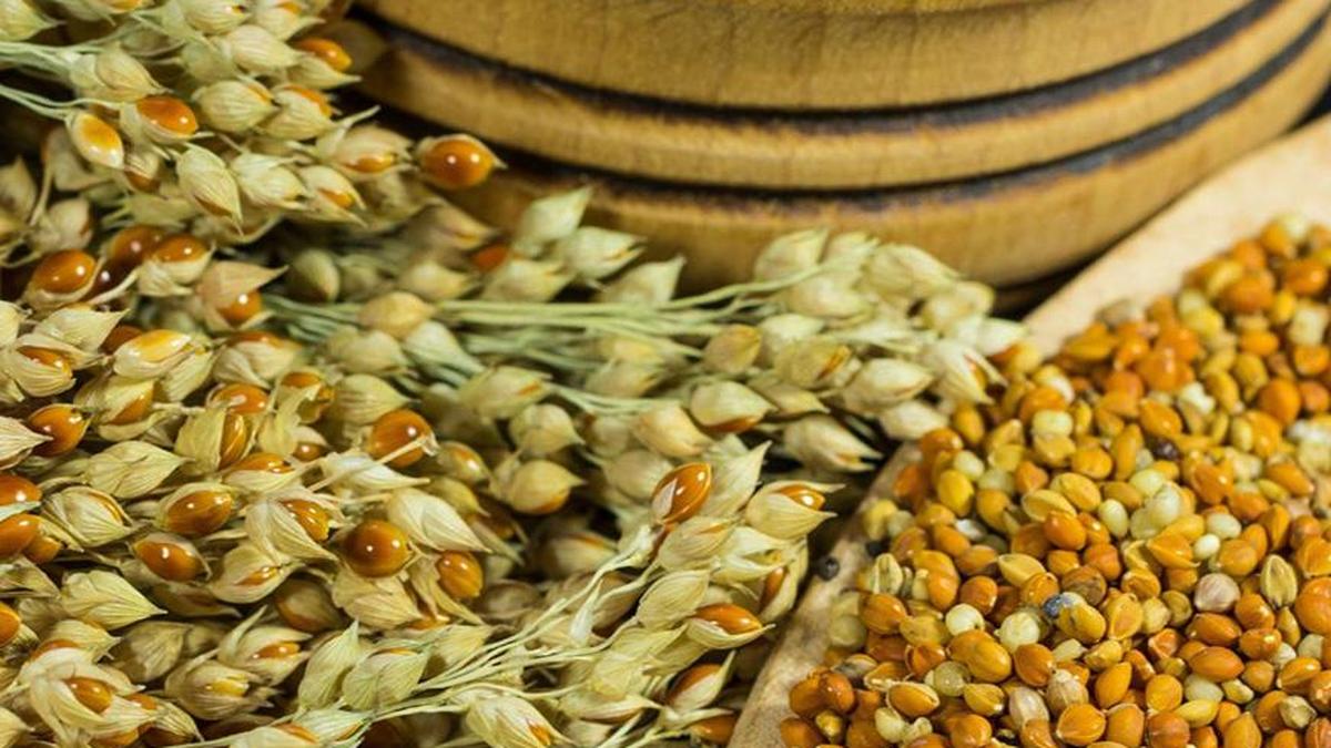 Millet canteens gain traction among students in Tiruchi