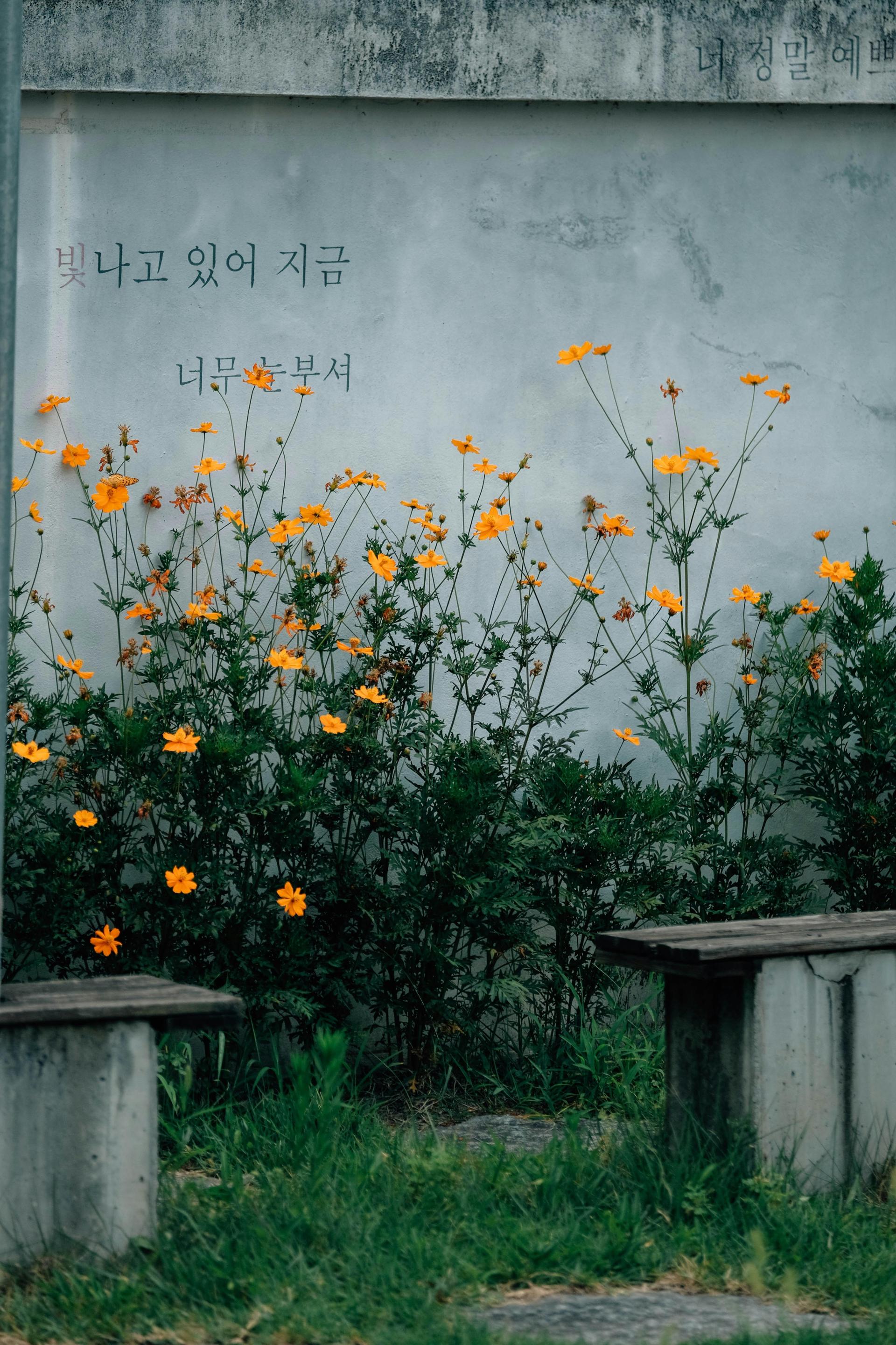 On the misuse of 4B feminism to explain Korea - The Korea Times