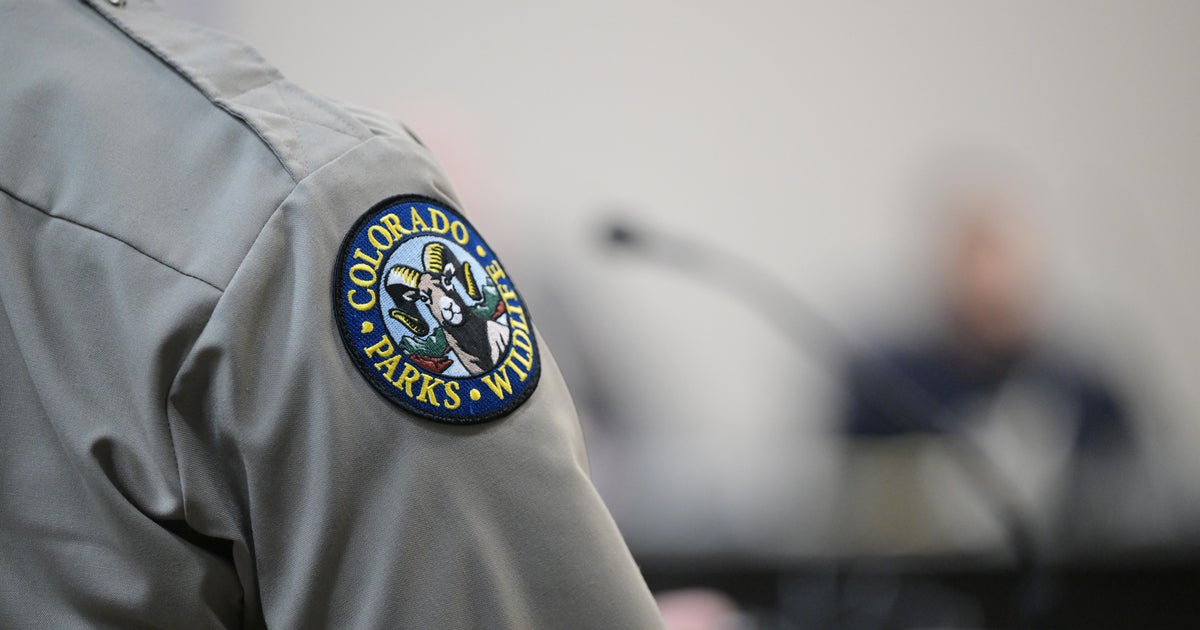 Suspected mountain lion attack in Northern Colorado leaves woman dead; officers euthanize 2 animals