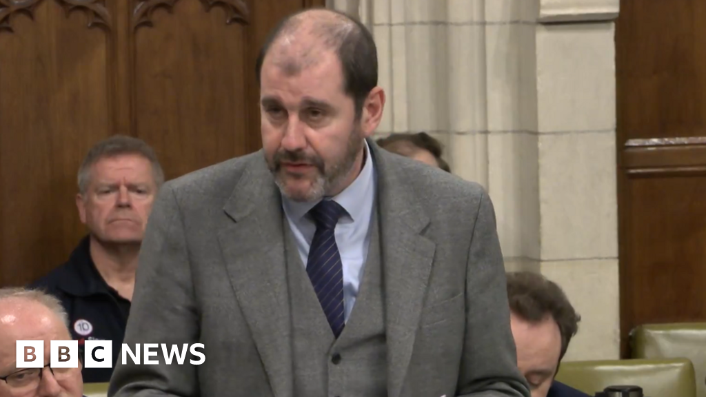 MPs debate road safety concerns for horses and riders