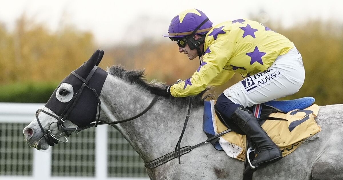 ITV racing tips including The Scout's Clarence House Chase pick at Ascot