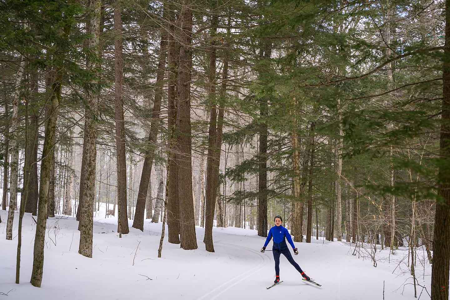 Three great places in New England to be a first-time cross-country skier - The Boston Globe
