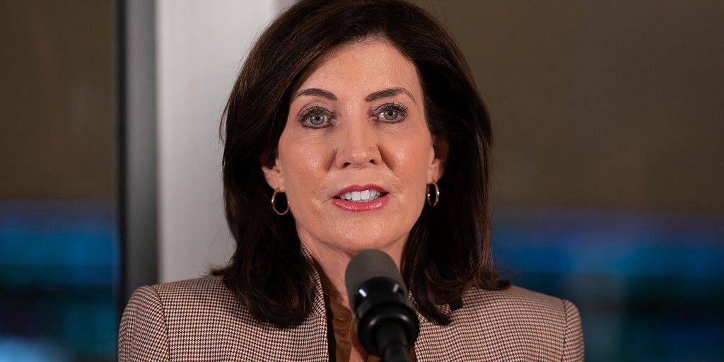 New York Republicans call for independent fraud investigation following Minnesota revelations