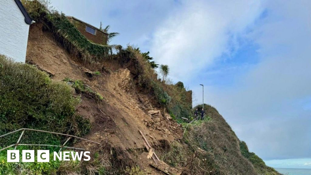 People and dogs rescued after Newquay cliff collapses