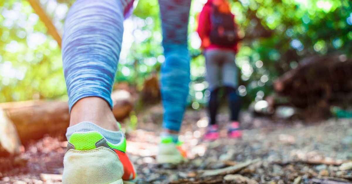 Nordic walking technique burns 20% more calories and gives 'faster' weight loss results - The Mirror