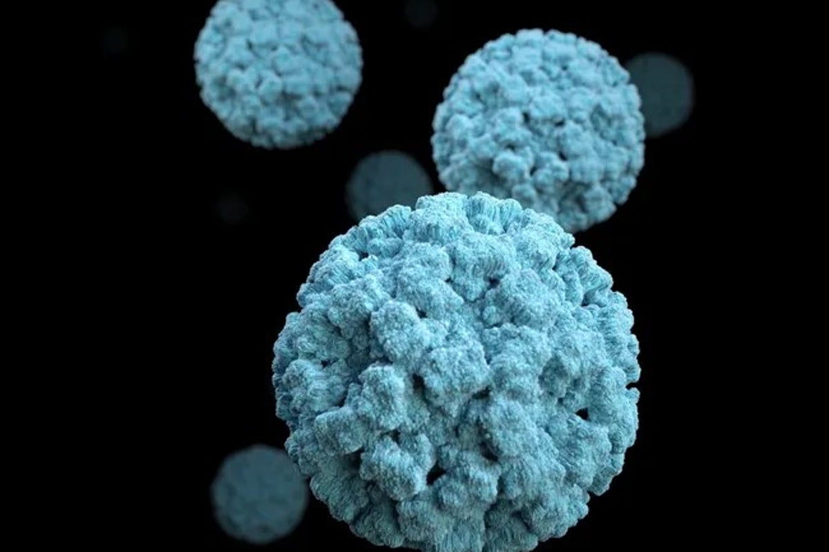 What is norovirus? The symptoms, warning signs and when you should worry