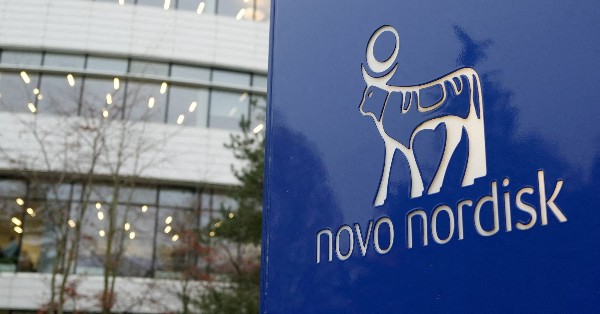 Novo Nordisk sued for allegedly monopolizing diabetes drug Victoza