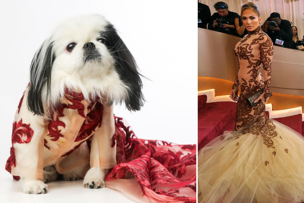 Exclusive | NYC dogs recreate celeb looks from the Golden Globes red carpet at...