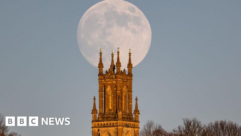 Headlines: 'Palm tree planning row' and 'Wolf moon'