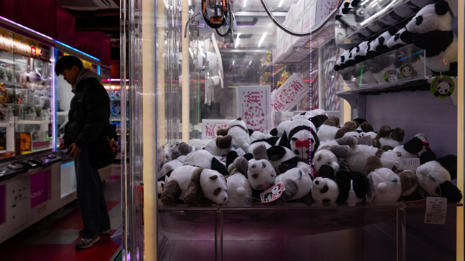 The last 2 pandas in Japan are leaving for China as ties are strained