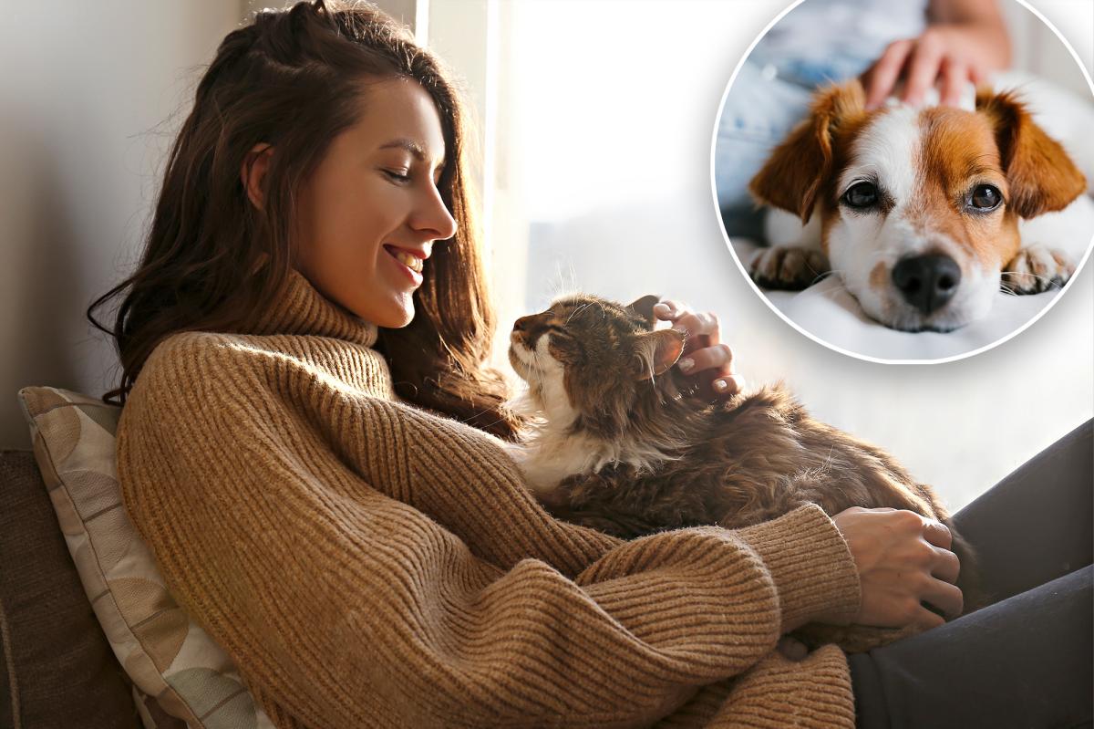 The top behavior changes that worry pet owners the most: survey