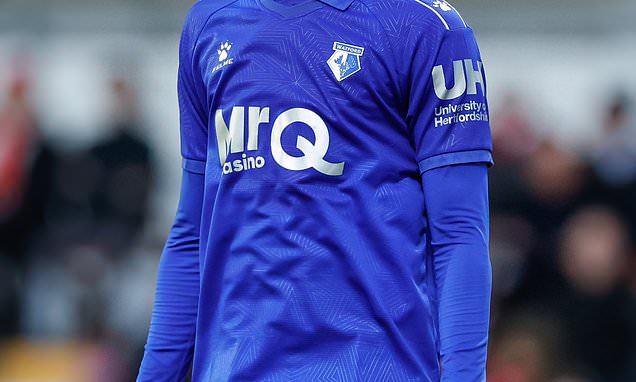 Portsmouth move out of Championship drop zone after draw with Watford
