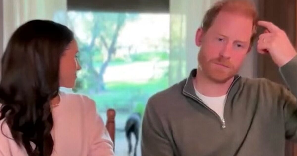 Prince Harry and Meghan's beloved family member makes new cameo appearance
