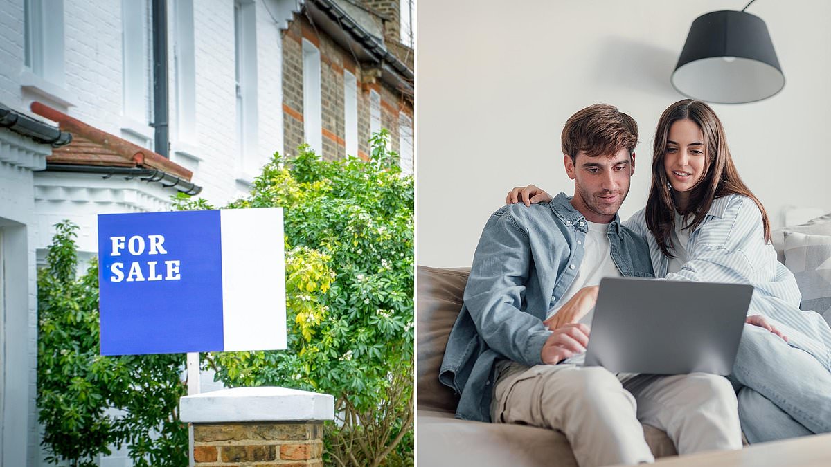 Record number browsed Rightmove on 26 December