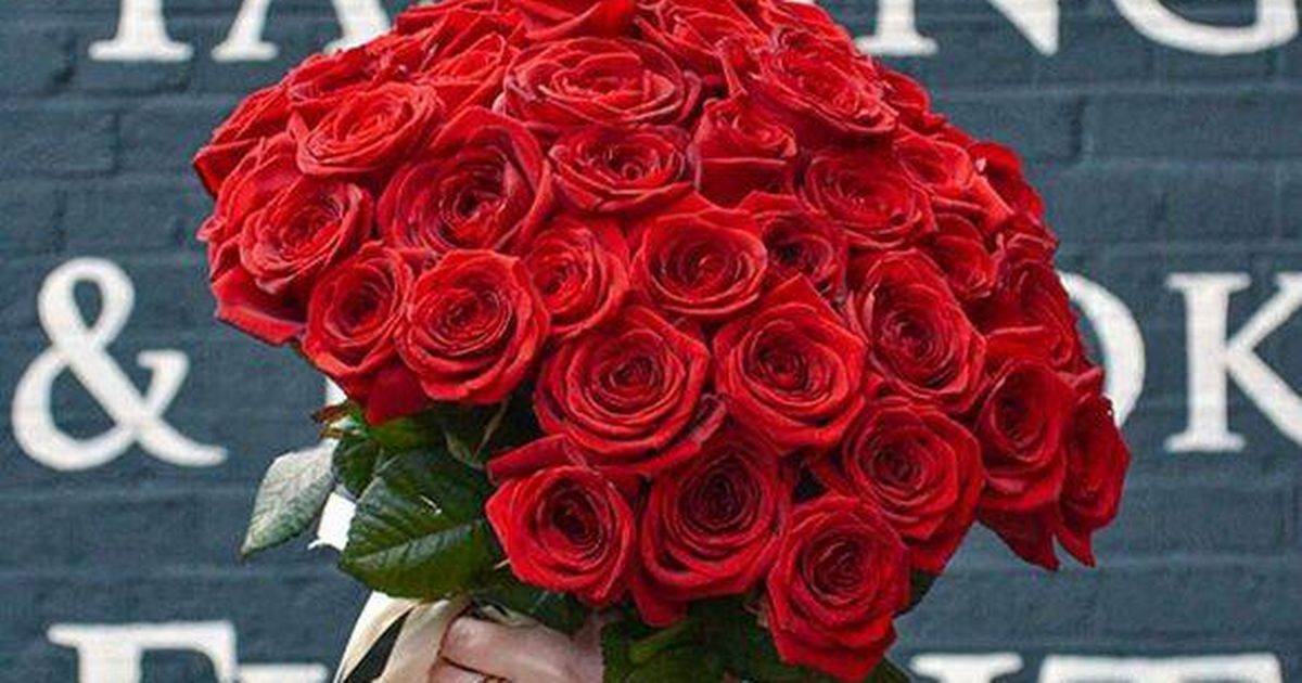 'Exceptional' red roses to make someone's Valentine's Day special are now £151 off - Daily Star