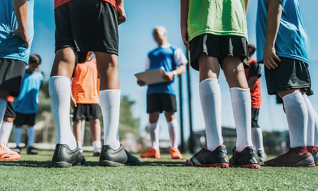 REVEALED: The murky mind-blowing world of sham 'Premier League scouts'