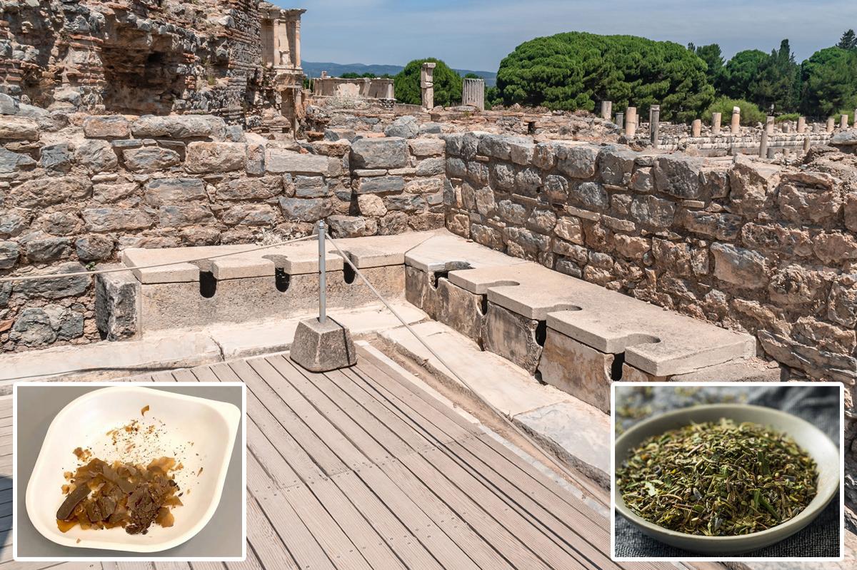 Romans used poop to treat infections and inflammation, new study...